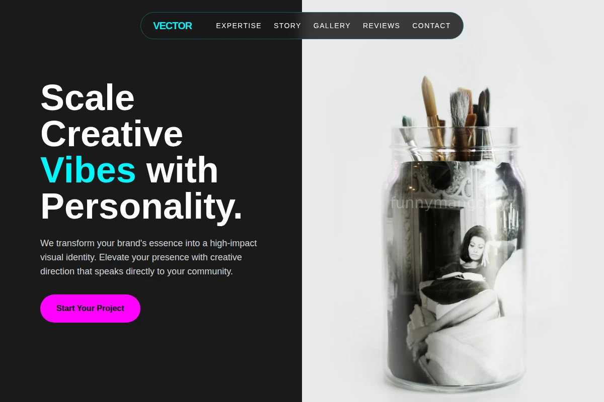 Vector Creative Direction