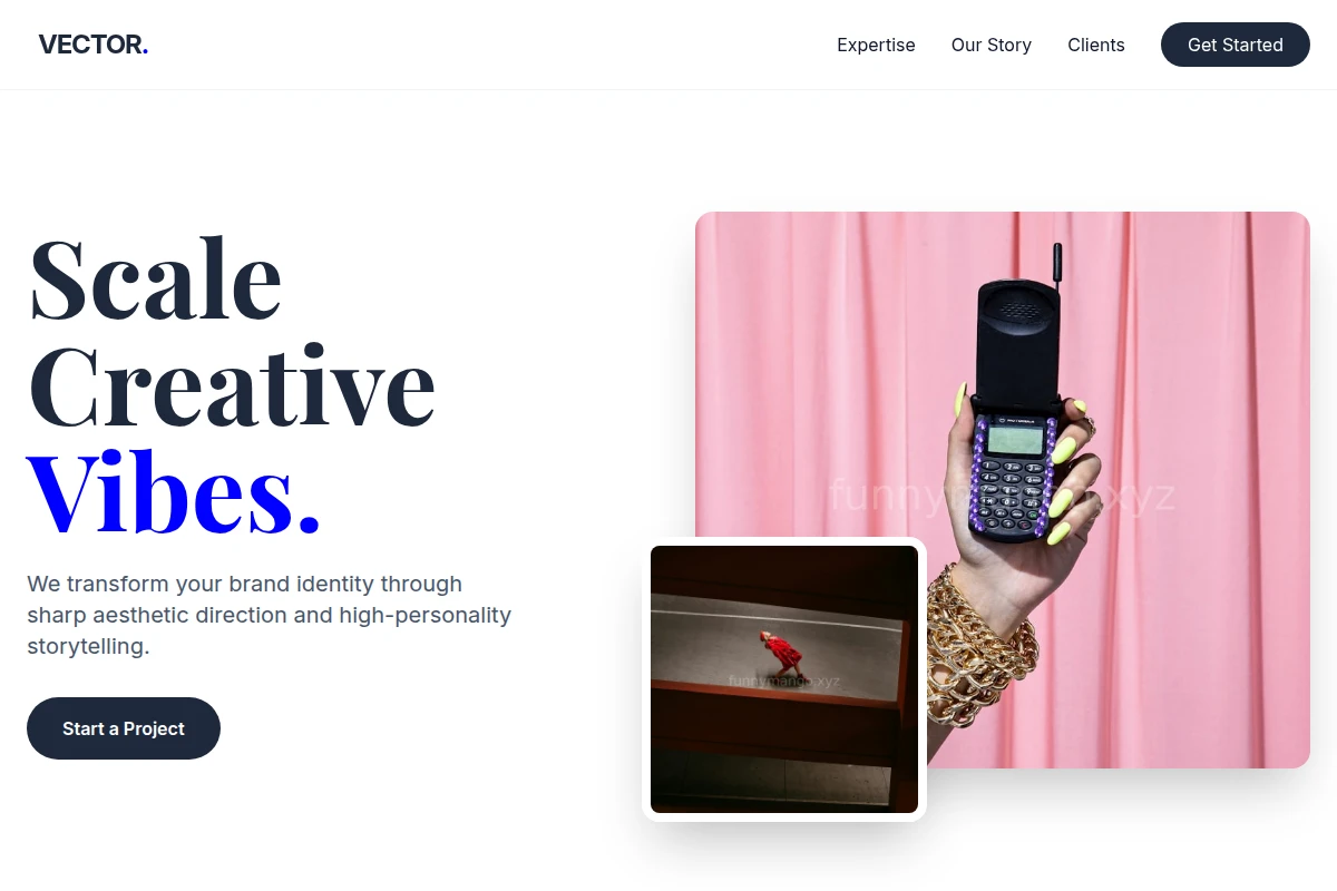 Vector Creative Direction