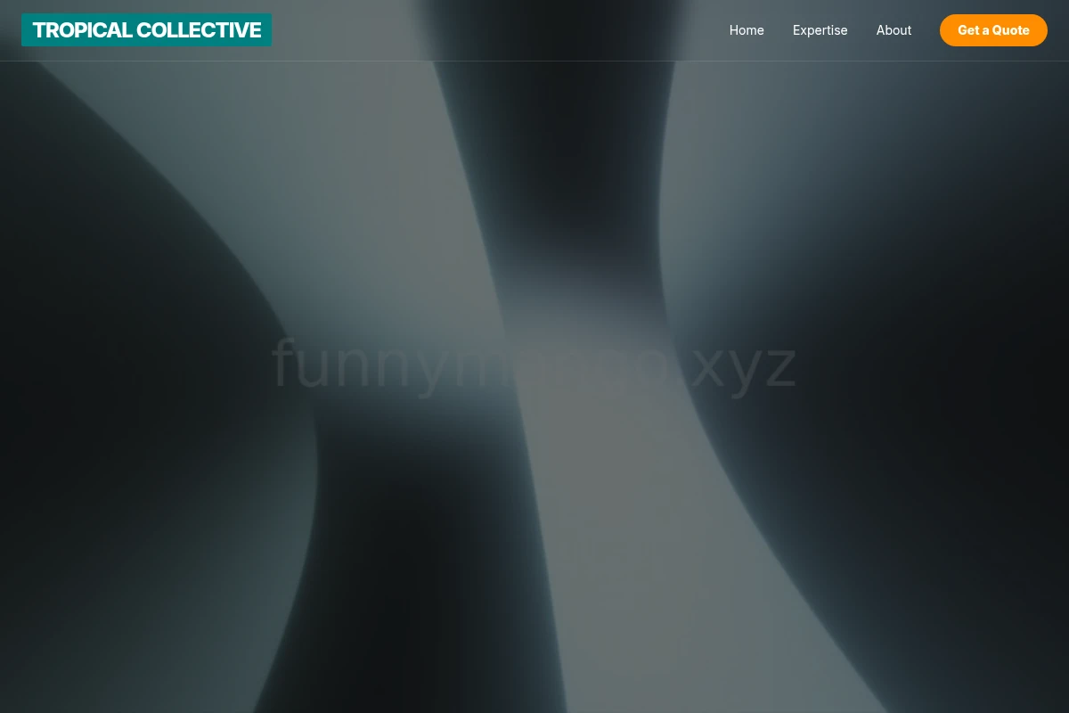 Zest Motion Graphics
