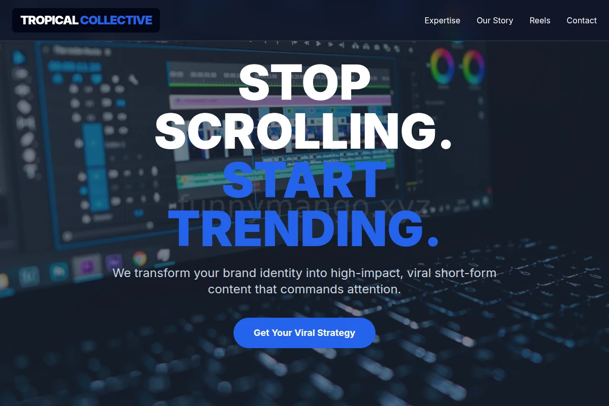 Vibe Short Form Video Agency