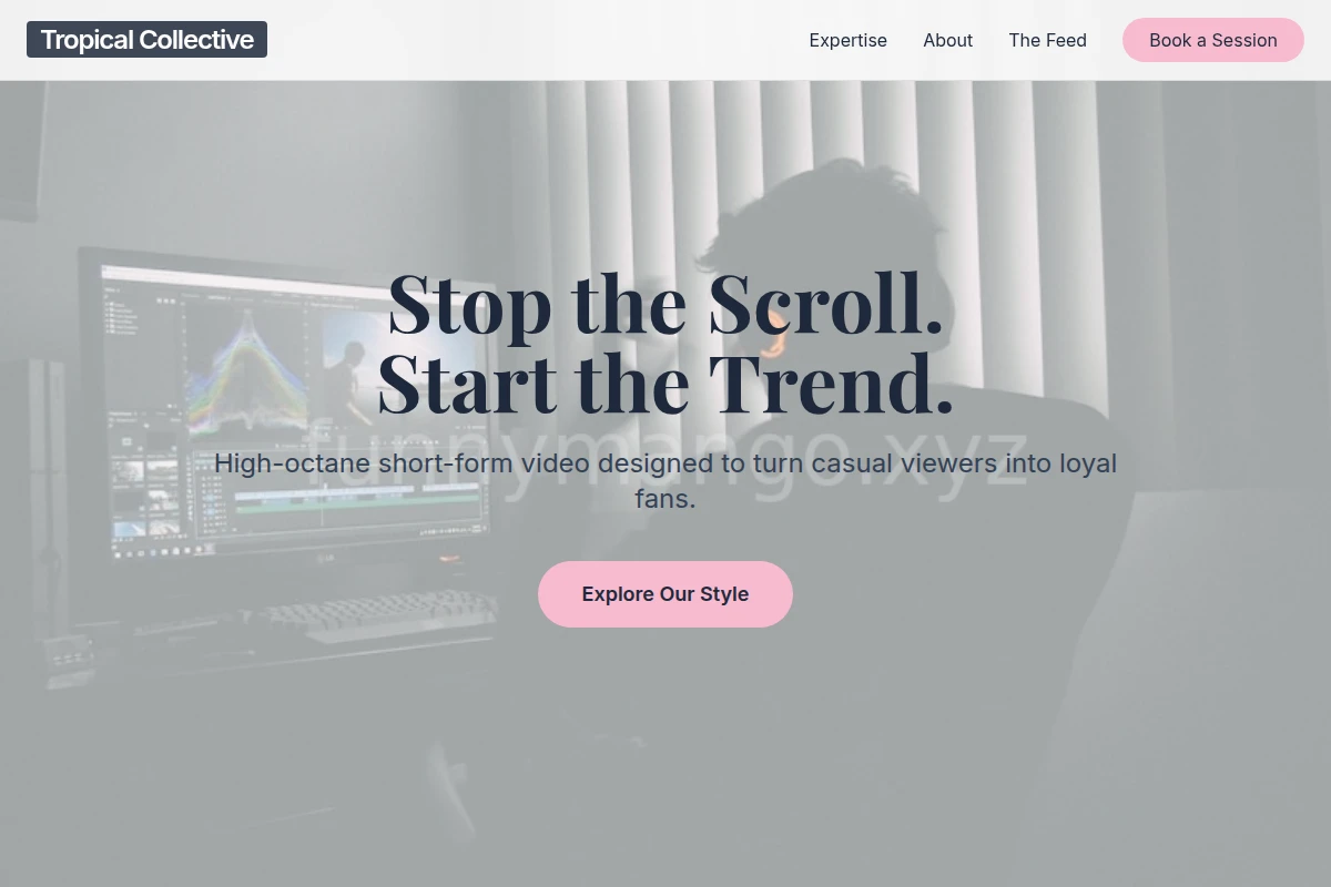 Vivid Short Form Video Agency