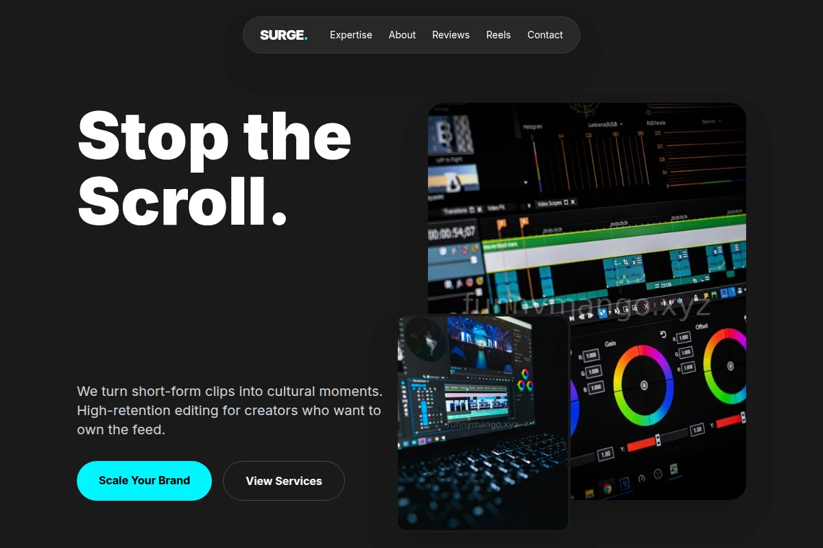 Surge Short Form Video Agency
