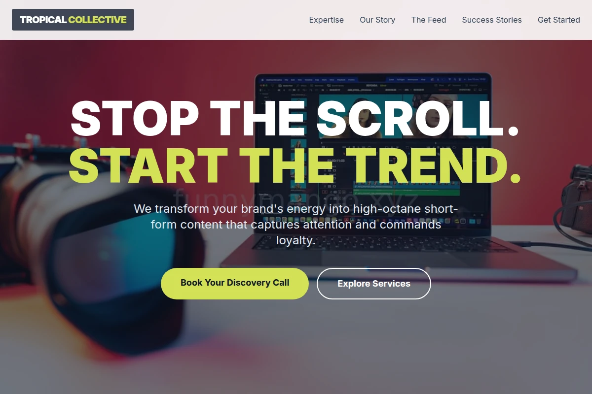 Vivid Short Form Video Agency