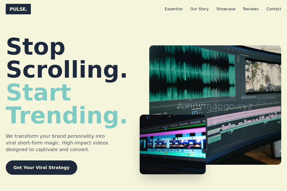Pulse Short Form Video Agency