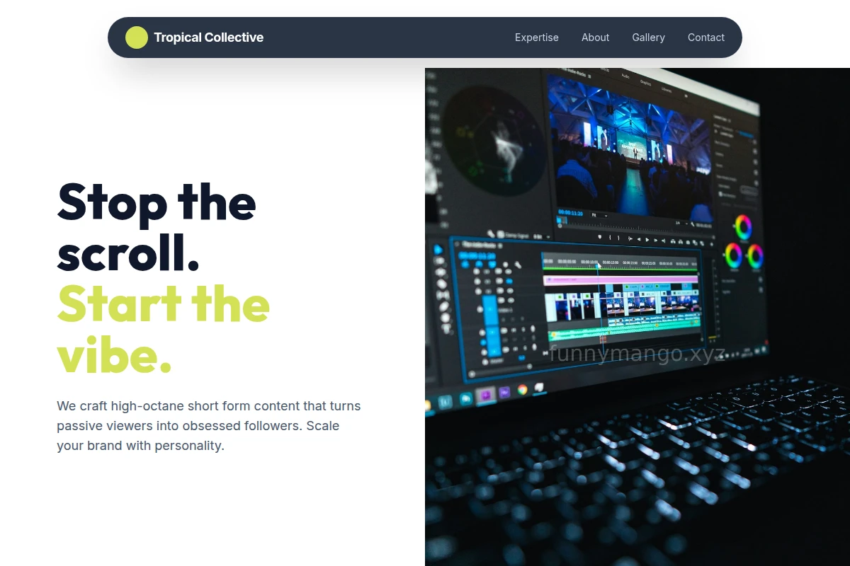 Vector Short Form Video Agency