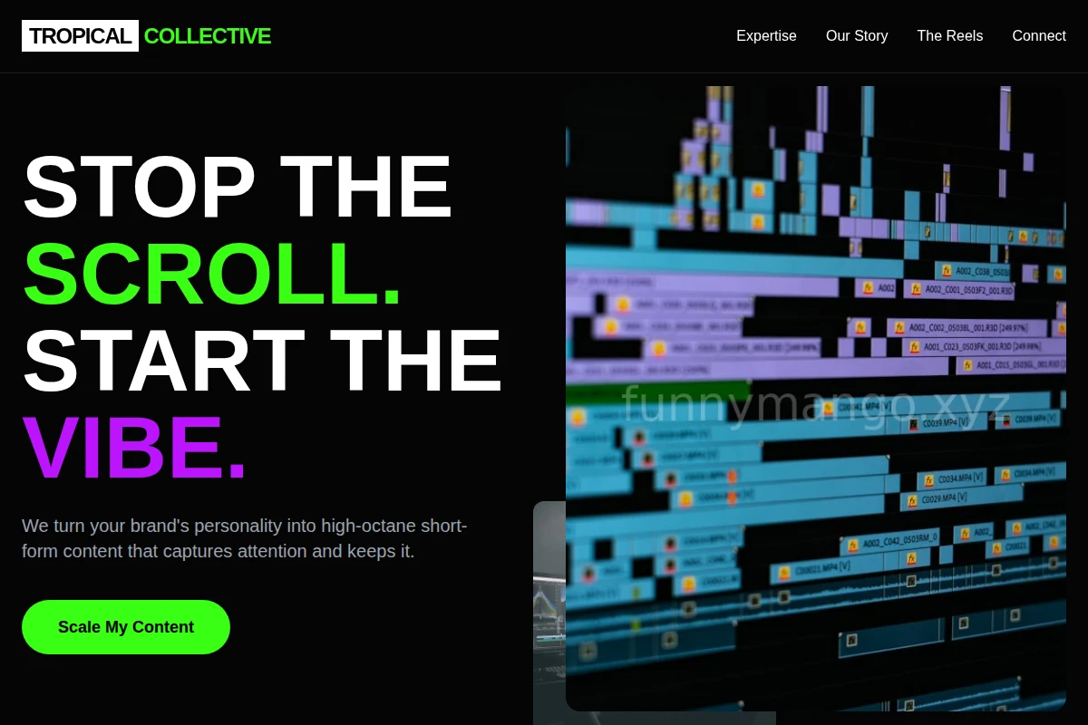 Bold Short Form Video Agency